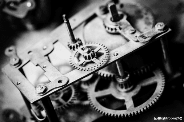 新手黑白摄影攻略,教你如何拍好黑白主题照片