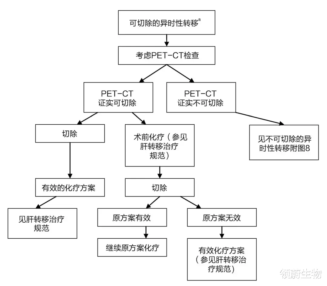 领蔚生物 最全结直肠癌诊疗流程图，只此一篇值得收藏！