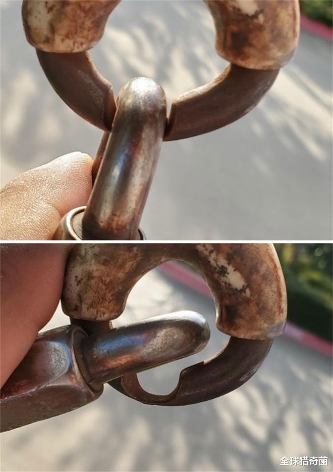 全球猎奇菌 32张照片告诉你，时间的力量有多恐怖