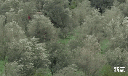 华晨宇|火爆的仙侠剧，揭示了一种失落很久的美