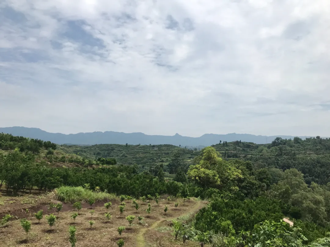 |风水寻地记，如玉盘之高山窝穴阴宅风水美地分享（多图）