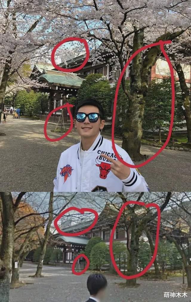 张哲瀚|张哲瀚神社合影事件惹众怒，中国历史研究院发声：神社无神只有鬼