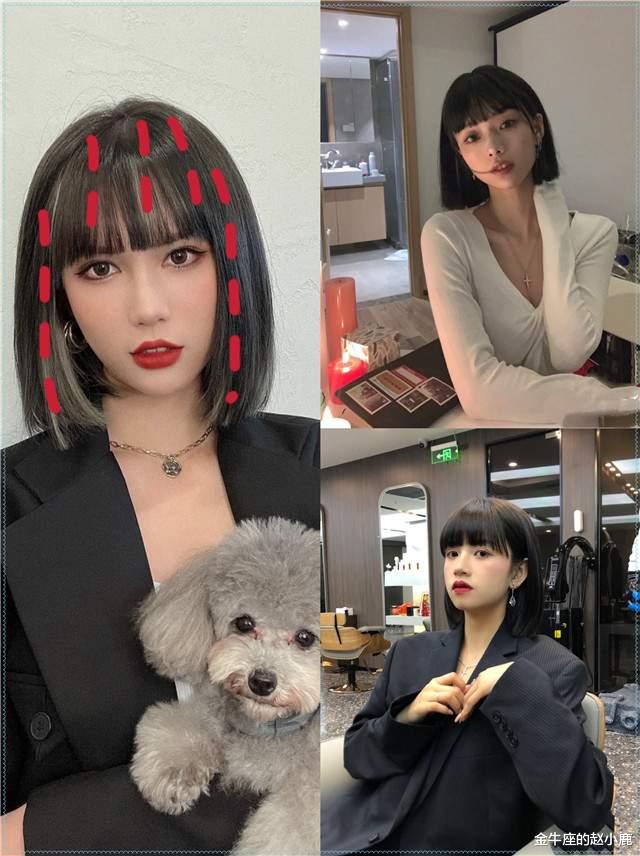 橘猫|2021发型别乱剪，记住这3点，减龄时髦两不误