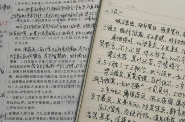 教师|中学女生“饺子体”爆红网络，字形可爱圆润，倍受教师喜欢