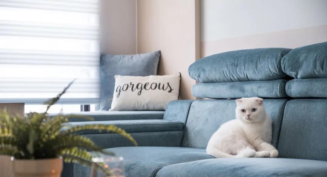 面积不大装修也不豪华,却让人莫名地喜欢,超爱这种细节满满的家