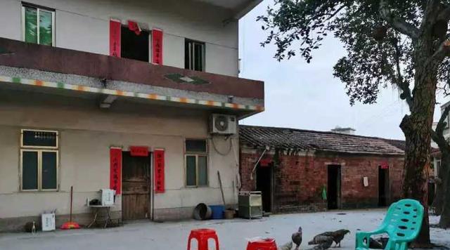 行星秘闻|揭秘全红婵5兄妹：老大辍学当厨师，3个跳水天才，有望一起战奥运