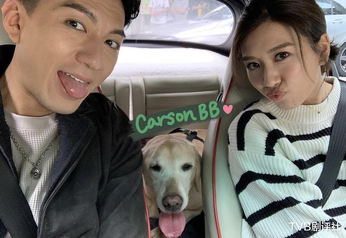 袁伟豪|《把关者们》袁伟豪黄智雯成夫妻圆粉丝梦，暖男陈家乐变酷男