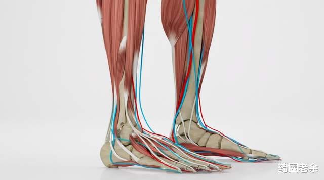 穴位|保护关节,这四点你必须做到!