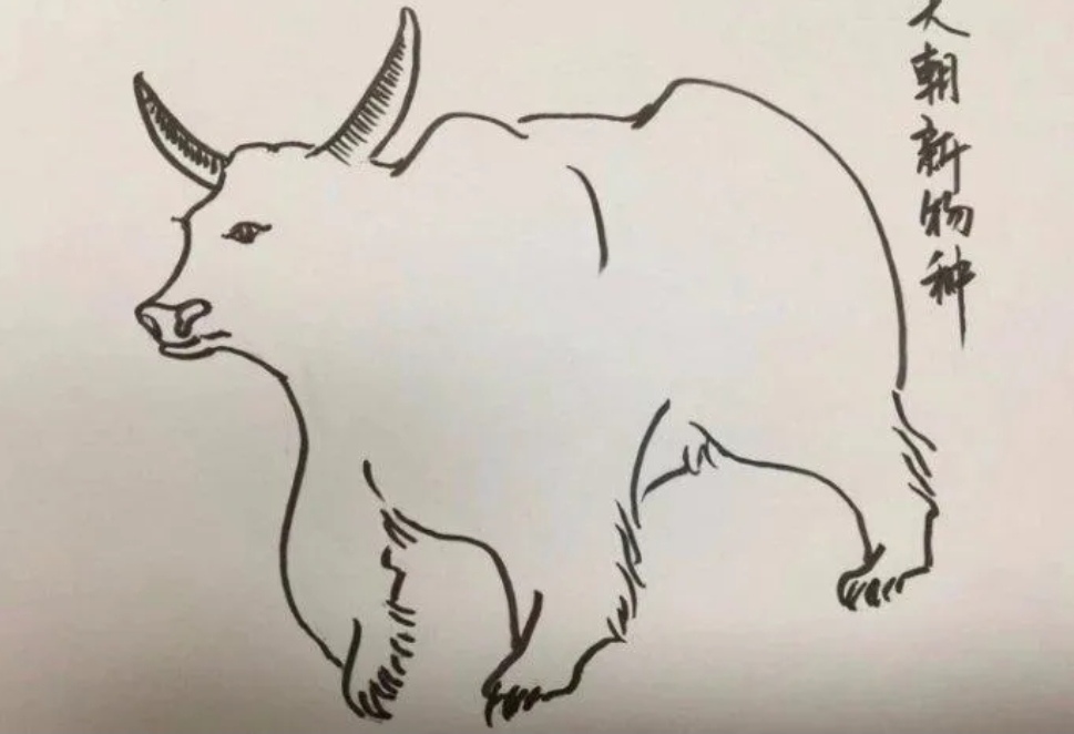 1月26日操作记录——鱼尾不好吃!