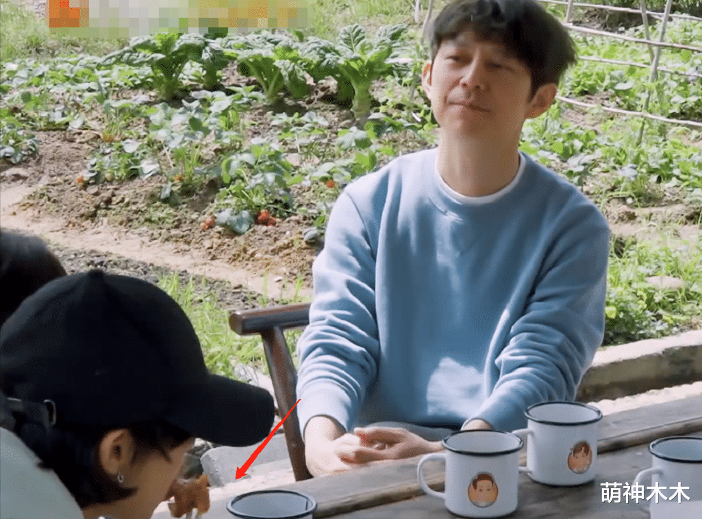 张子枫|《向往5》又惹争议,黄磊做早餐饭量不够,彭昱畅张子枫吃盒饭