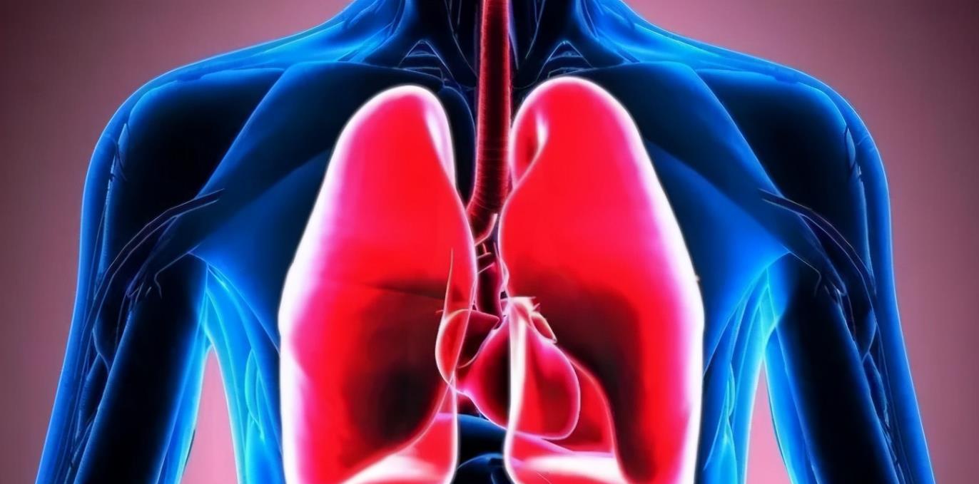 登月 人类离永生再进一步？科学家开发出人体隐藏的“再生功能”