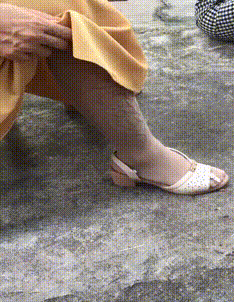 动物庄园|“给你500万，一年之内必须完成下面一个任务，你会怎么选？”