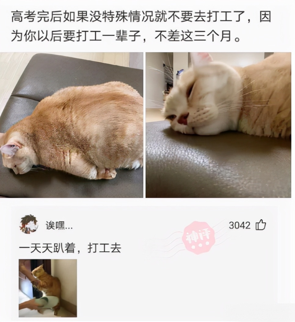 |相亲活动上最漂亮的职业模特，但现场的男士对她爱搭不理