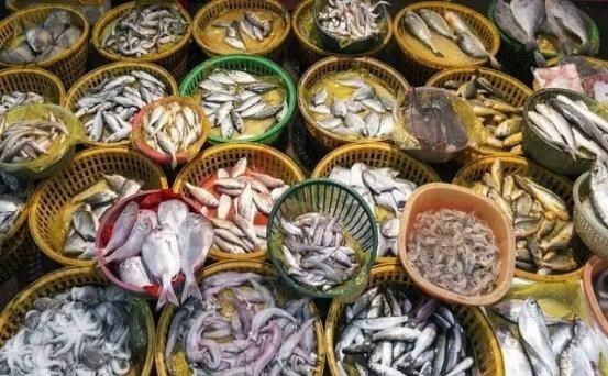 90后宝妈经验|刀鱼从60块钱一斤，跌至3块钱一斤，消费者：再便宜也买不起