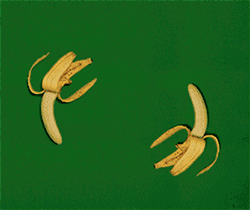 水果|58岁男子因吃烂水果住进ICU,你的节俭正在毁掉你的健康