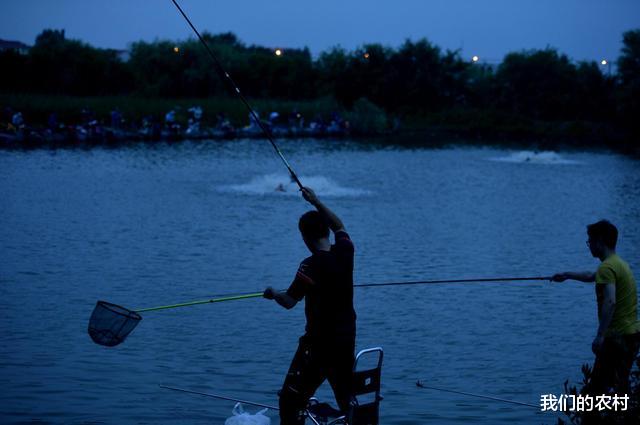饵料|钓鲫鱼技巧全在这里，一钓一个准，全是大鲫鱼，请耐心看完