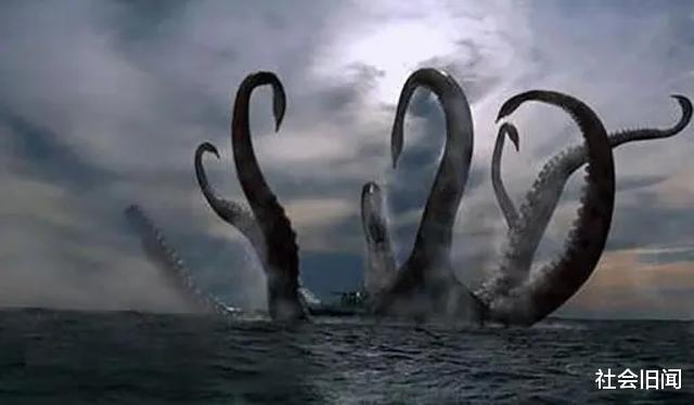 章鱼 科学家为什么觉得章鱼是外星生物？越来越多的证据证明，或许他们说的是真的