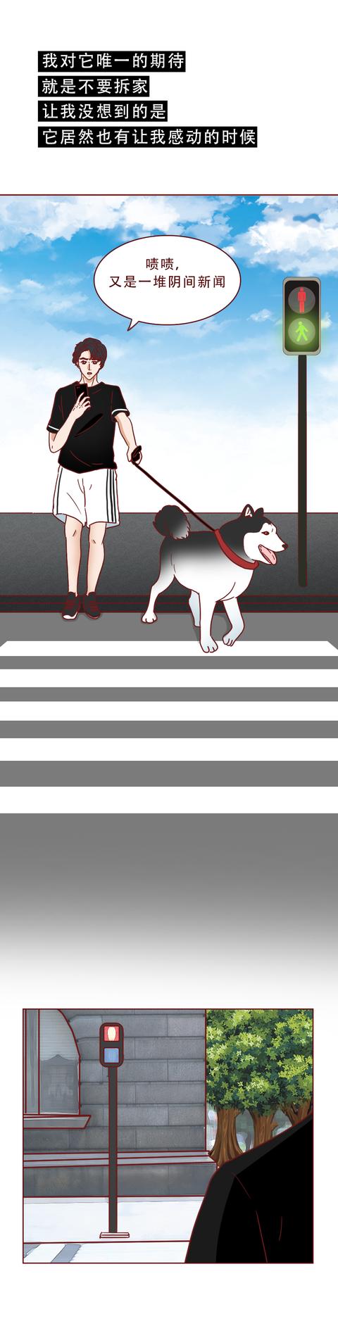 女孩|一只捡来的猫，给了抑郁症女孩第2次生命，有时兽性比人性强