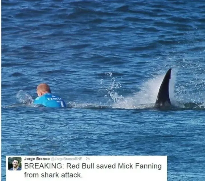 厨房人类 你出钱我出命，为什么每个极限运动都有红牛赞助？