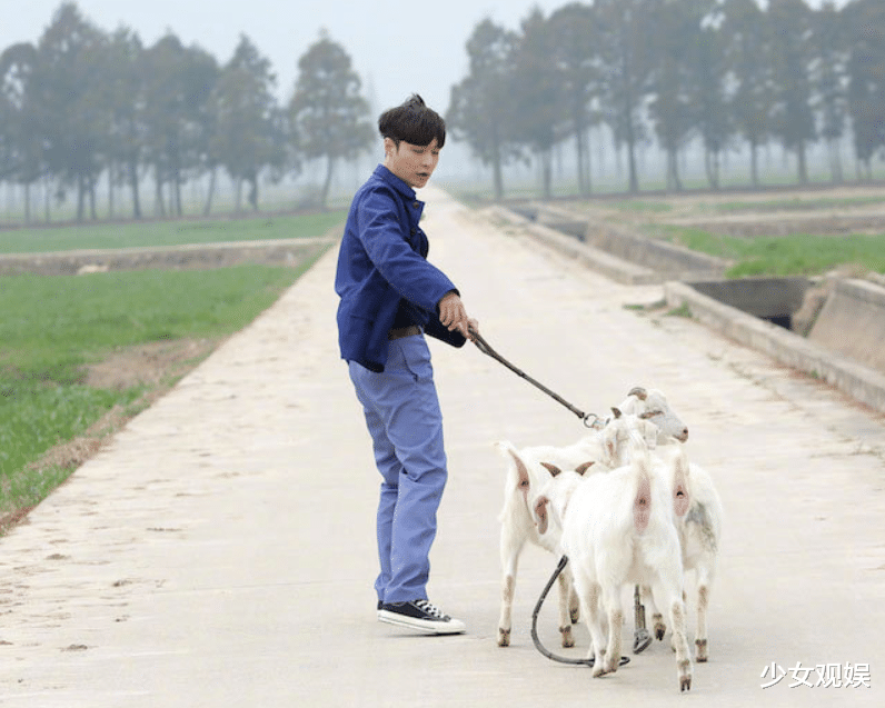 刘宪华|《向往的生活5》低调开录，刘宪华无缘回归，新MC大家好满意