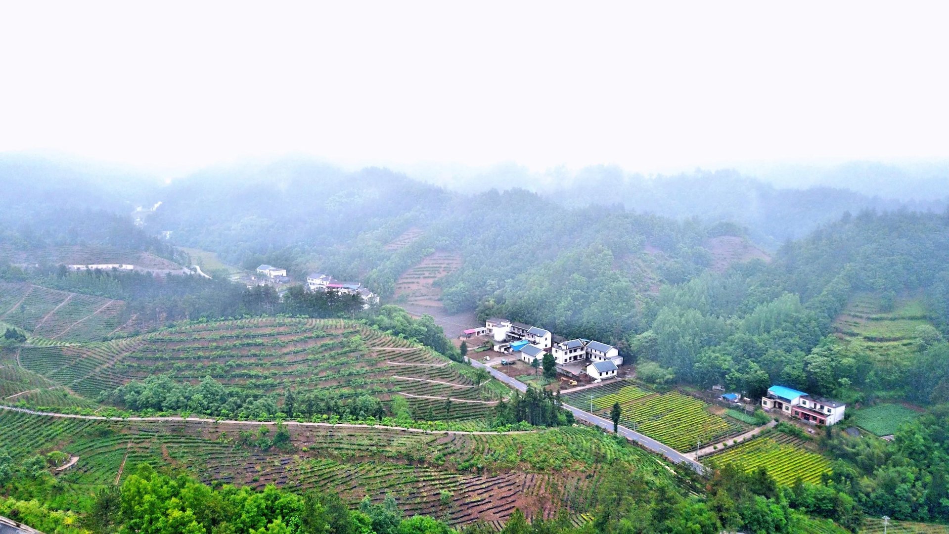 陕西微资讯 陕西商南：三代茶人接力提品质、树品牌、拓市场创出北纬33°奇迹