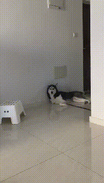 测测未来|姑娘，以后还是别穿这种裙子出门了，我都为你感到尴尬了！哈哈哈哈