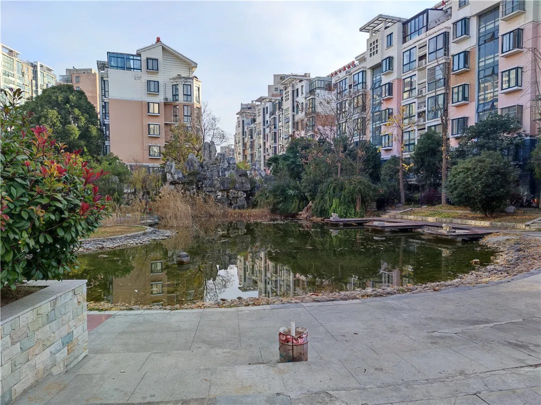 别墅|欲哭无泪，配套一样，这家小区却比对面低2600元/㎡