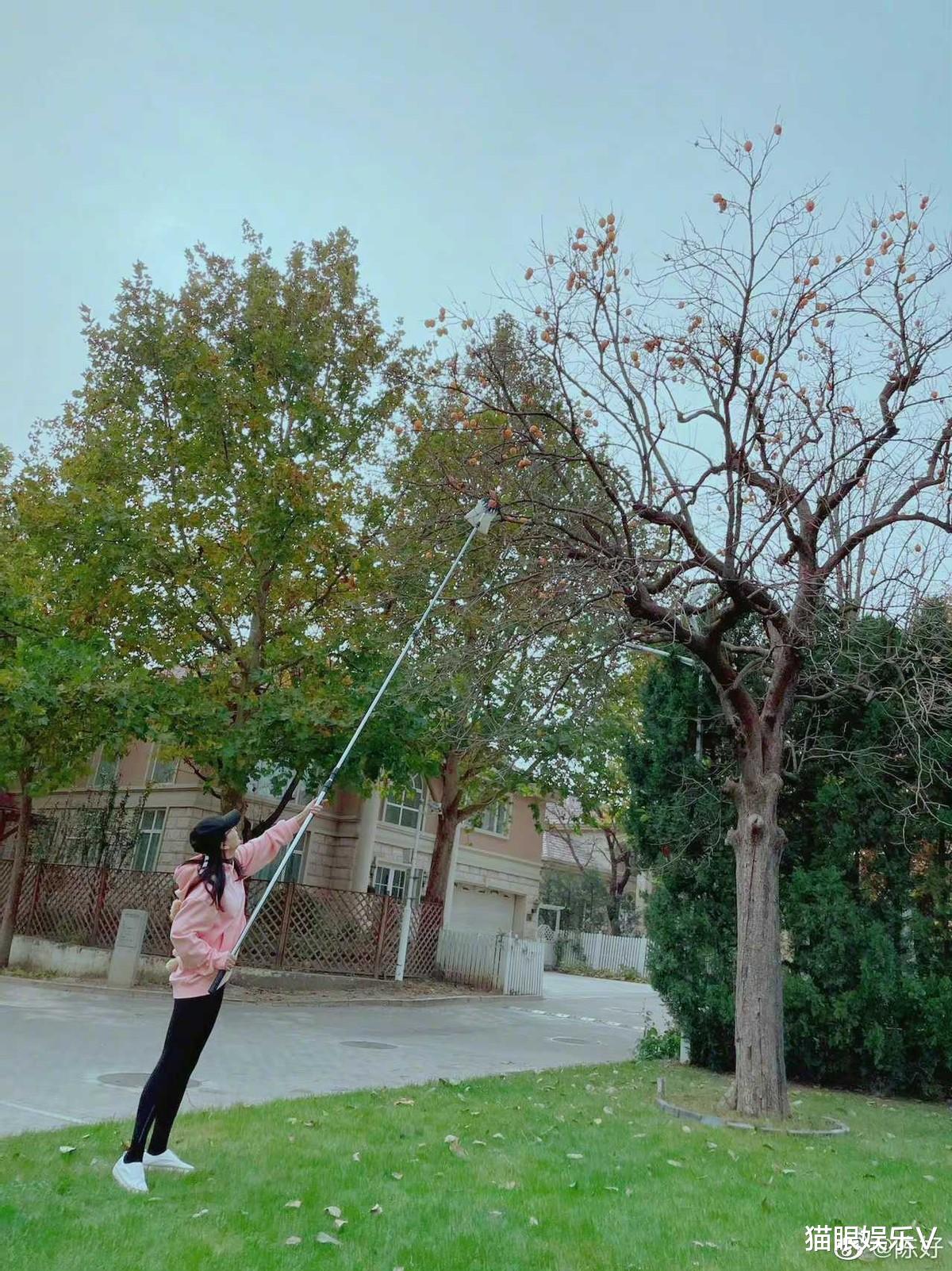 陈好|阔太陈好晒自拍庆生,在豪宅品着红酒好悠闲,蛋糕却略显简朴