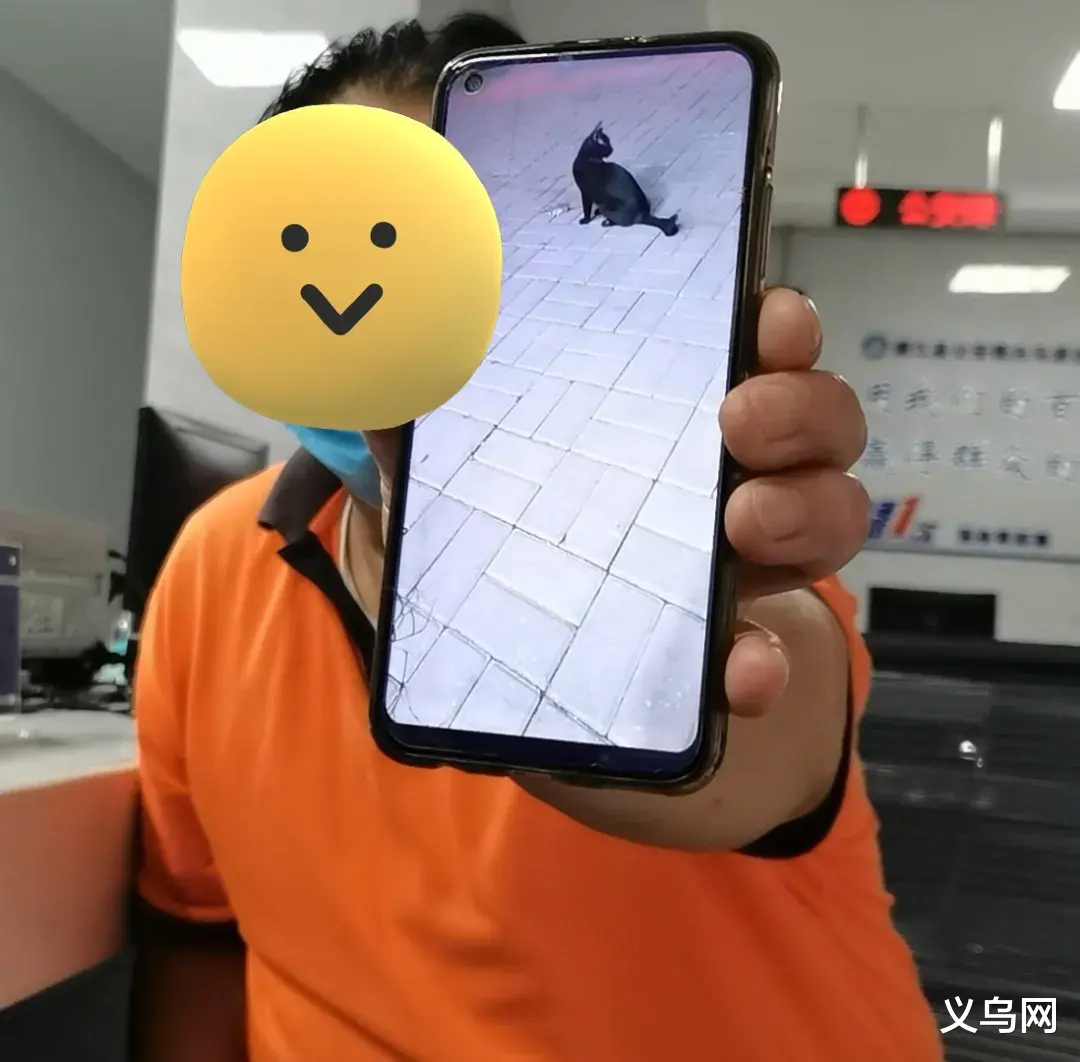 浦江一男子用黑科技抓猫