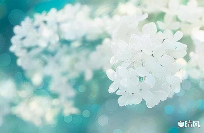 夏晴风 男人不想爱你了，就会频繁对你说这几句话
