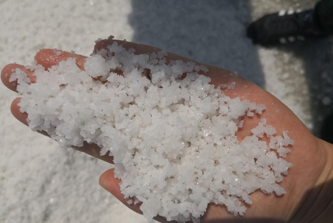 |人类离不开盐，动物难道不需要盐分吗？原始人又如何获得盐分？