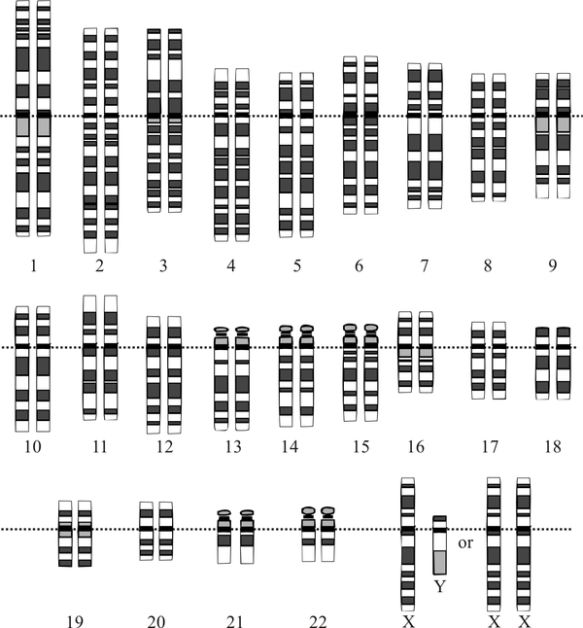 生命的本质是意识还是肉体?我们该透过基因科技成为「超人类」?