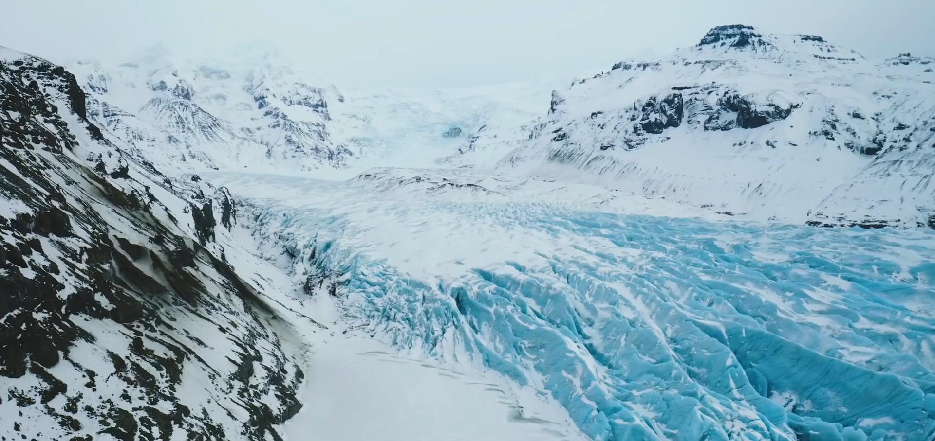 遗骸 西伯利亚永冻土融化,发现多种史前生物遗骸,人类该警惕了!