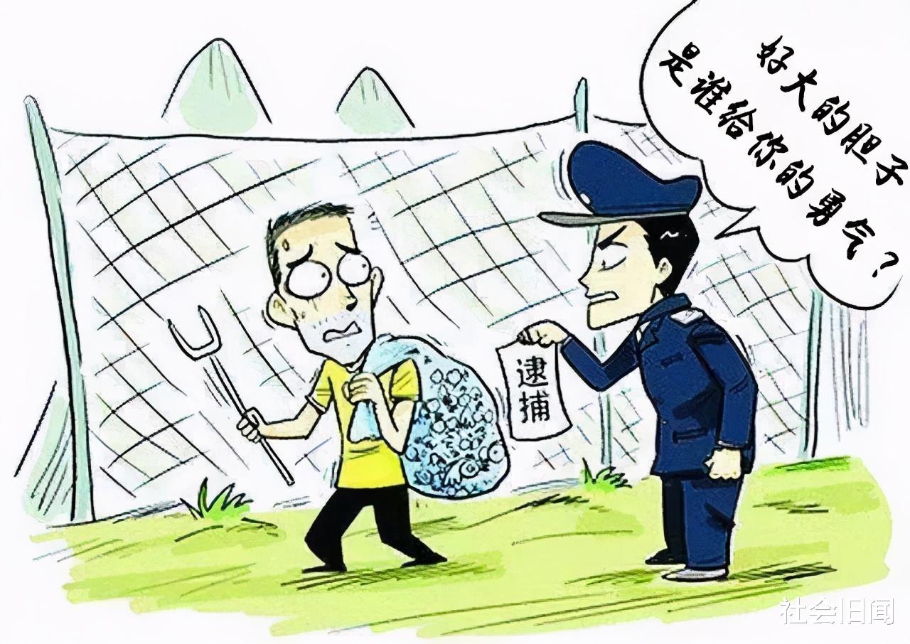 豹猫偷吃村民17只鹅,被抓到却只能放生,那么村民的损失该谁来赔?