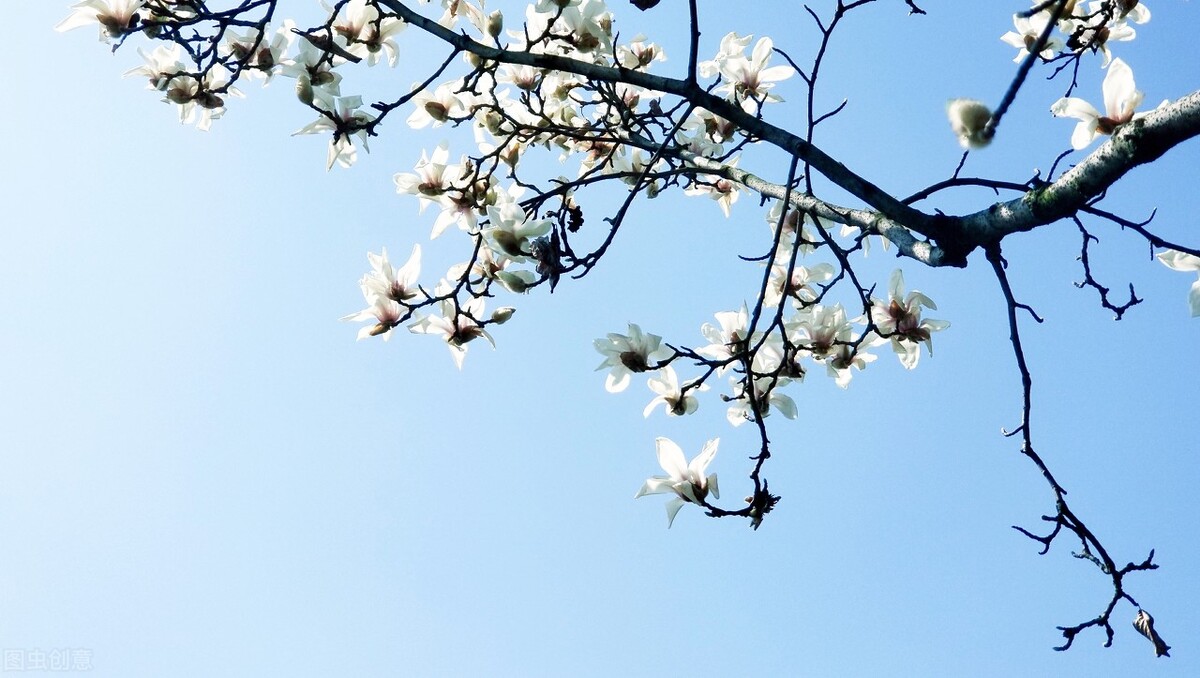 余温先生|一个人在大城市打拼,我们这一代人的悲哀。