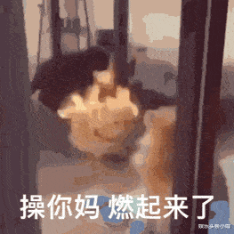 gai|又翻车！宠妻人设崩了，撩骚粉丝被锤？