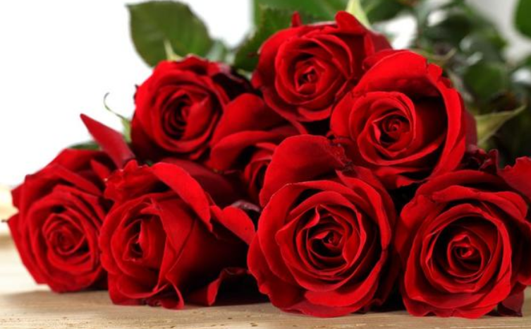 |有一种自律，叫“拒绝”