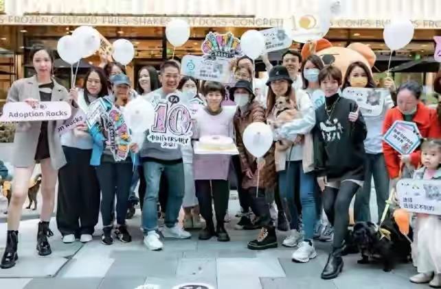 加菲猫说时尚 孙俪低调做公益!穿大妈款轻羽衣品一言难尽,被身边小姐姐抢风头