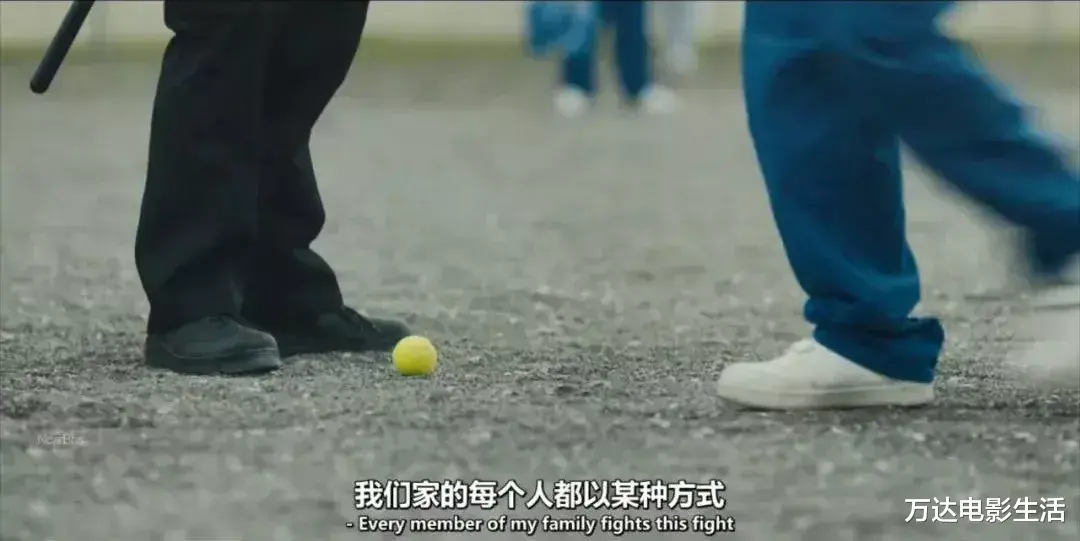 教父|8.5分生猛犯罪剧，有《教父》内味了