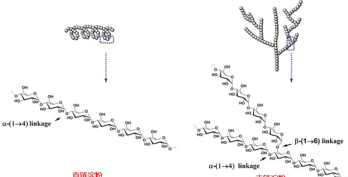 航天员 封神！从60多步到11步，效率提高8.5倍，合成淀粉能拿下诺奖吗？