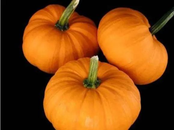 兰兰侃视界|李兰娟:早上是养肝“黄金期”,常吃4种早餐,或可让肝脏变红润