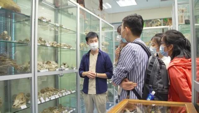第六次物种大灭绝,人类能否幸免于难?