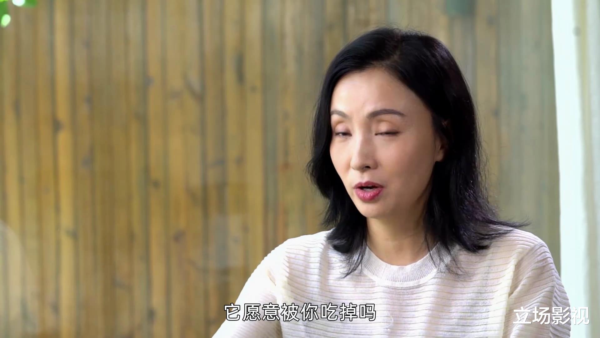 陶虹|张静初、陶虹的“翻车”，《素食行者》已经写好了剧本