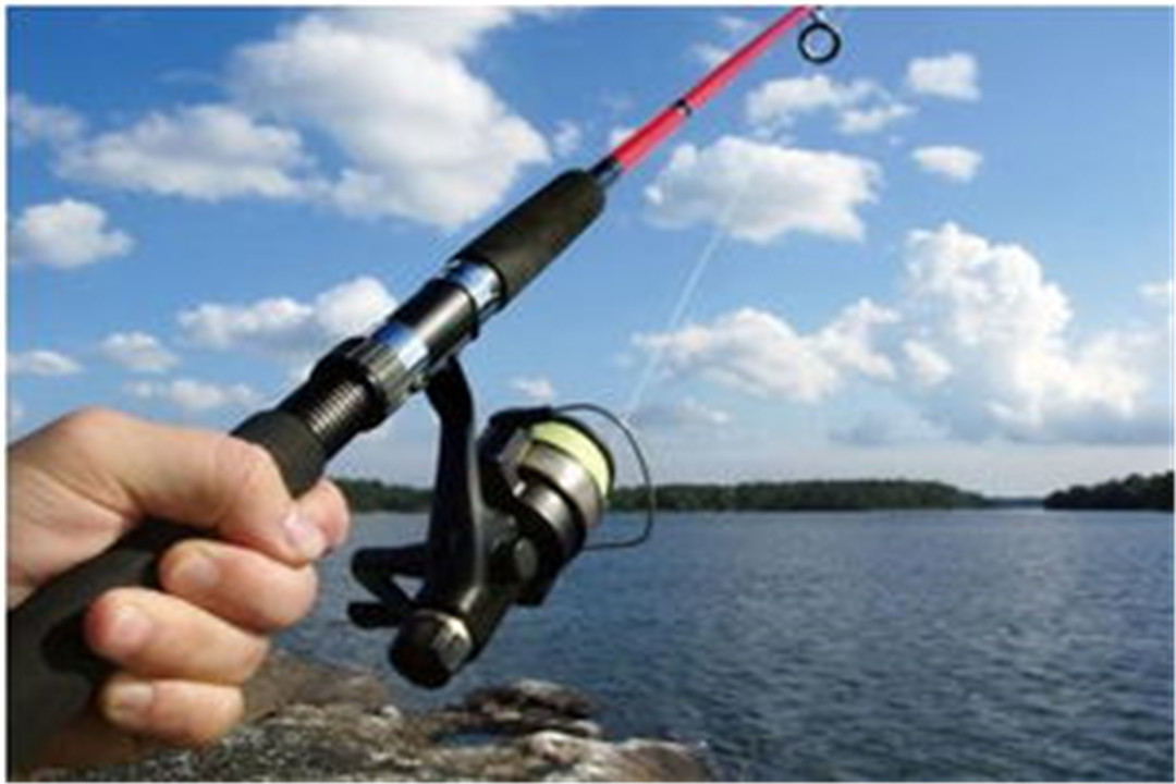 哥斯拉|海南钓鱼捞上“怪异生物”，满身骨骼找不到肌肉，少年哥斯拉？