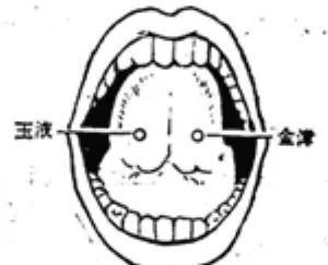 百艾堂|秋天为什么要少吃鸡肉？这几类人要注意
