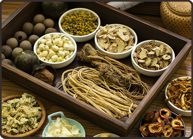 疾病|中医的整体观念是什么?