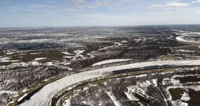 科学家警告:北极植物高度大幅增加,变得生机盎然!或会引发灾难