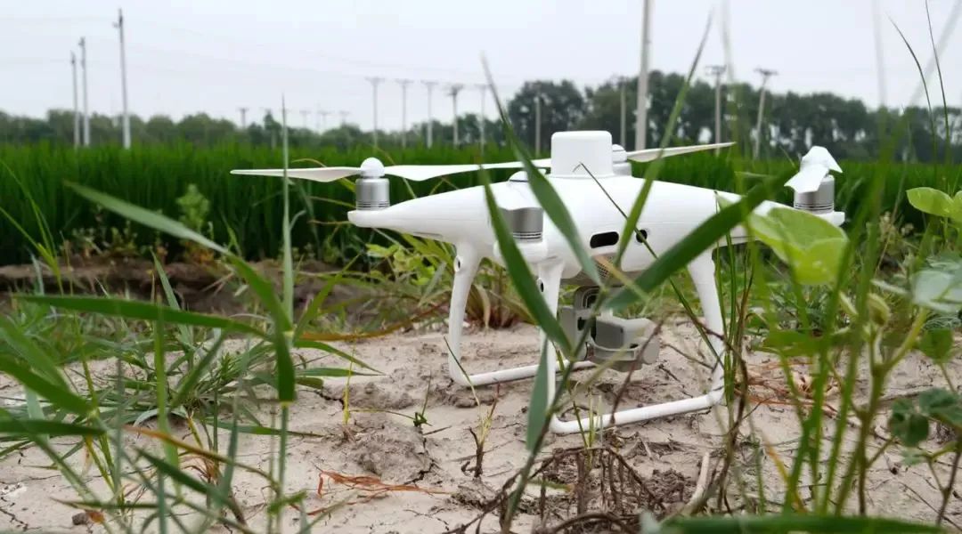 TCL|DJI 精灵 4 系列|机器视觉时代