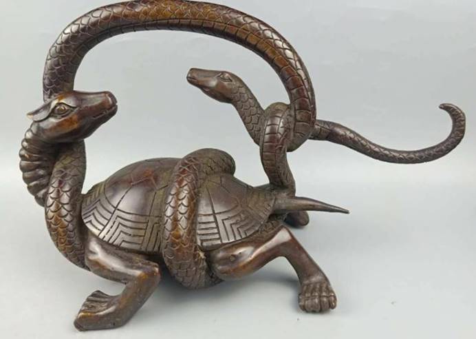 神兽“玄武”果然存在,因肉质鲜美,在2000年前被人类吃光