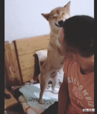 “在黄河钓鱼看见一个匕首,想据为己有值多少钱?”我祖宗的